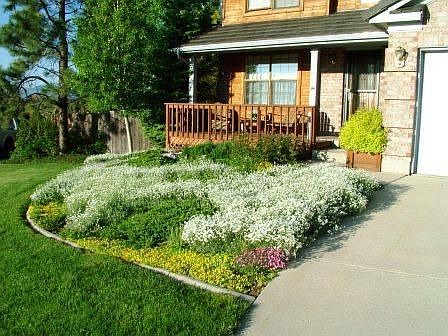 Sit on your Covered Porch and enjoy the Wild Flowers, Rose, and Mature Trees