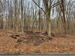 0 Black Hill Rd, Plainfield, CT 06374