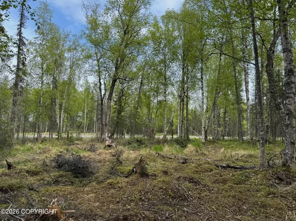 4173 E Harman Loop, Wasilla, AK 99654