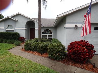 335 Hammock Dr, Palm Harbor, FL, 34683