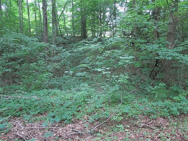 1st image of 0 General Buckner Dr