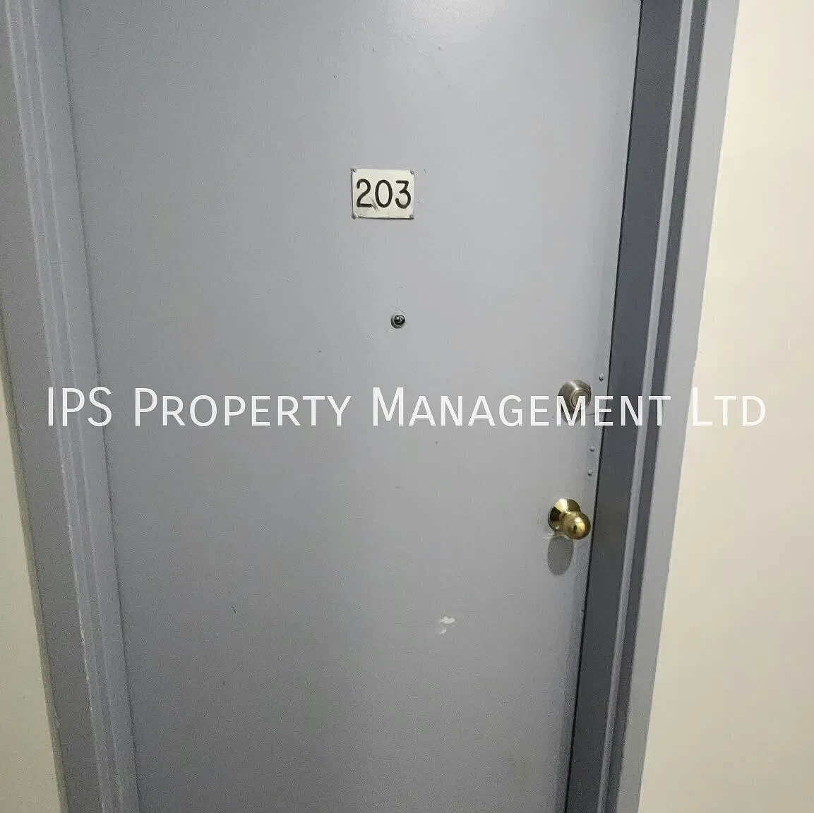 317 Front St- 3 1 Bed 1 Bath — Photo 3