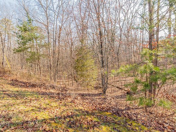 4th image of 0 Tanglewood Dr Lot 5