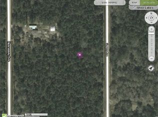 10105 Gregory Ave, Hastings, FL 32145