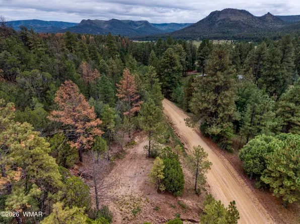 75 County Road 2108, Nutrioso, AZ 85932