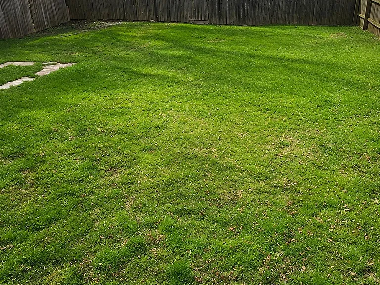 Fenced Backyard