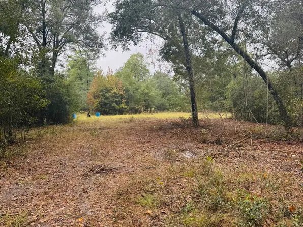 0 Fisk Rd, Dorchester, SC 29437