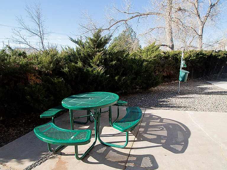 Charming outdoor patio with a vibrant green picnic table surrounded by lush greenery, perfect for leisurely afternoons.