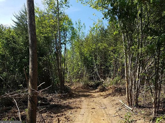 Driveway Headed Back to the Home Site