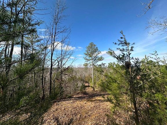 3rd image of 125 Fox Trail Dr