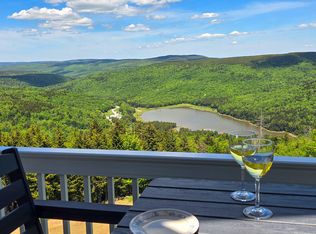 350 Mountain Ldg, Snowshoe, WV 26209