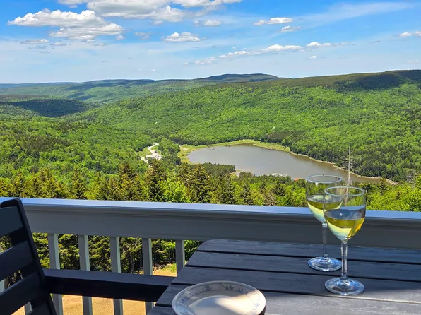 350 Mountain Ldg, Snowshoe, WV 26209