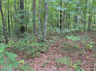 0 Falls Rd LOT 11, Monterey, TN 38574