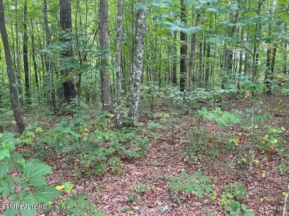 0 Falls Rd Lot 11, Monterey, TN 38574