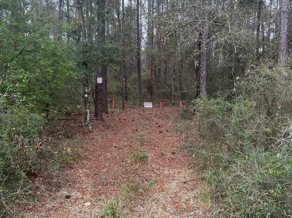 1099 Arran Rd, Crawfordville, FL 32327