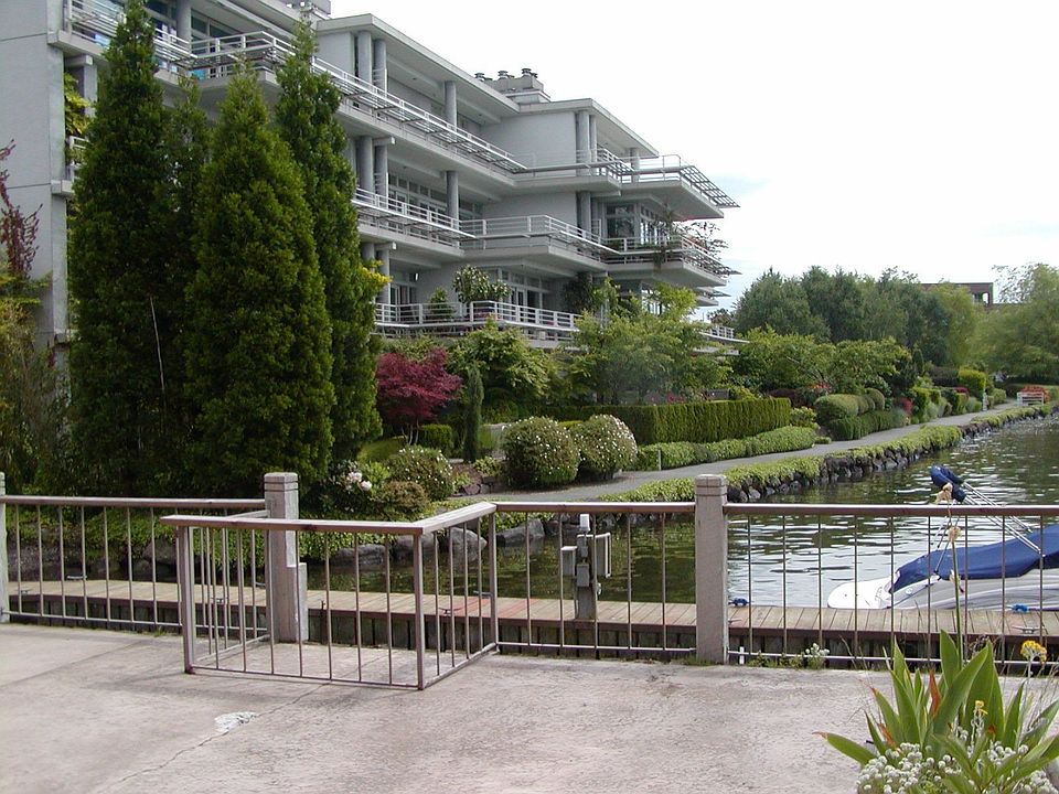 looking off the deck
