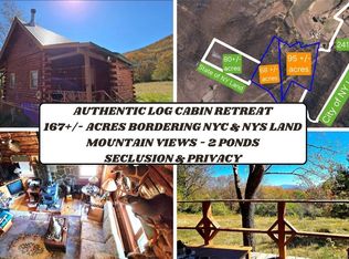 781 Charcoal Rd, Stamford, NY 12167