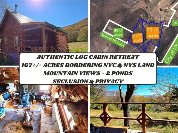 781 Charcoal Rd, Stamford, NY 12167