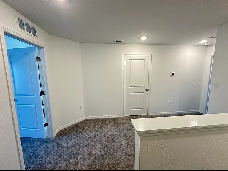 2655 Buttercup Lucine Ln #2655 — Photo 11