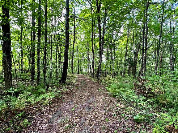 2nd image of 0 Danville Hill Road
