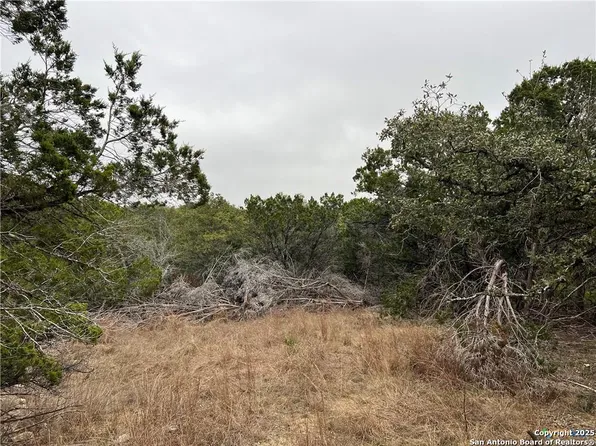 713 STAGECOACH TRL LOT 153, Spring Branch, TX 78070