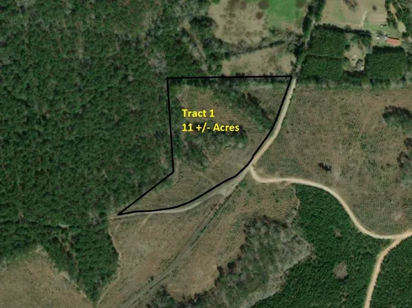 TRACT One Denning Cres #255, San Augustine, TX 75972