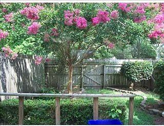 4th image of 1339 River Birch Run S