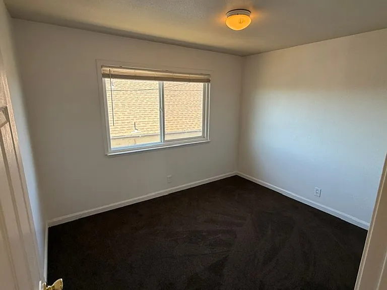 Bush Ave, 2114 — Photo 12