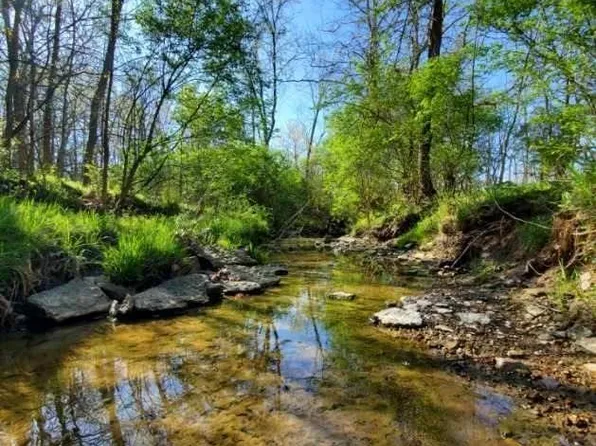 0 Painter Fork Dr, Bethel, OH 45106