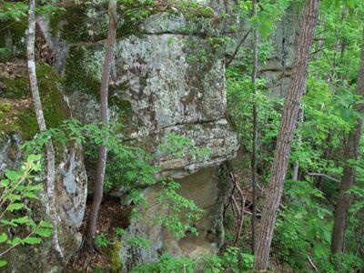 Cliffside Pine Grove Rd, Lerona, WV, 25971