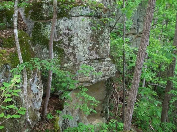 Cliffside Pine Grove Rd, Lerona, WV 25971