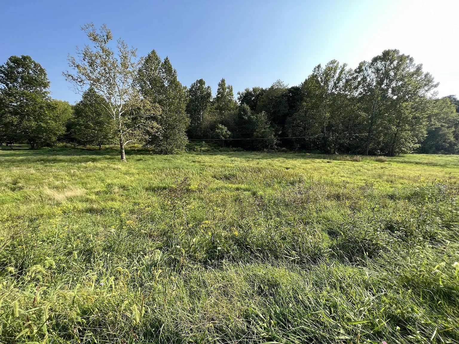 Chase Rd photo 1
