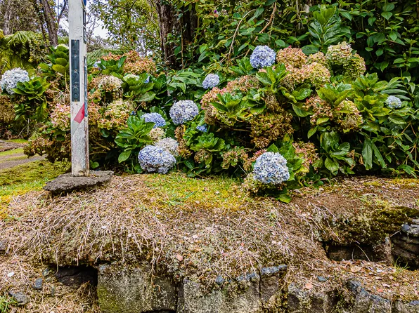 19-4124 Wright Rd Lot 1, Volcano, HI 96785