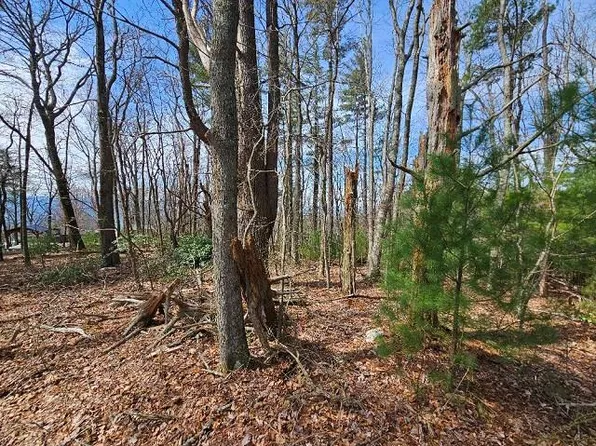 Antler Point, Hillsville, VA 24343