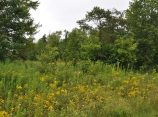 Daw Rd, Pleasant Mount, PA 18453