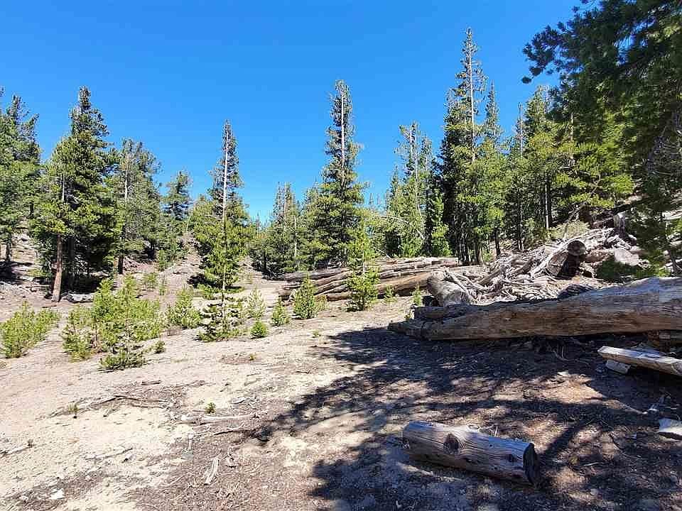 Haight Mount Loop, Macdoel, CA 96058 MLS 20230427 Zillow