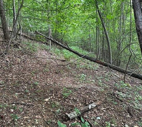 2nd image of 0 Treadway Ridge Rd