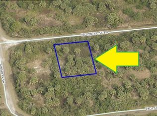 880 Yellowtail St SW, Palm Bay, FL 32908