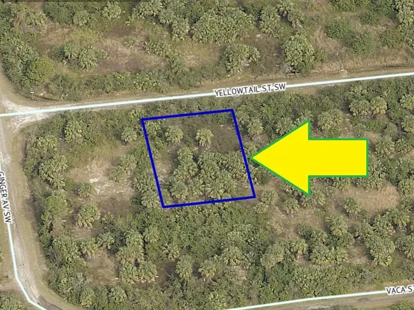 880 Yellowtail St SW, Palm Bay, FL 32908