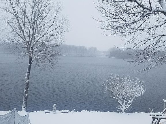Back yard on a snowy day