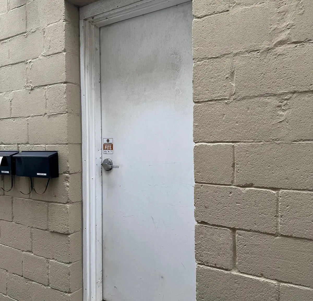 1 bed, $1,750 — Photo 2