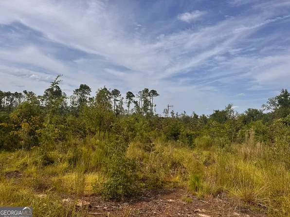 489 New Normantown Rd, Vidalia, GA 30474