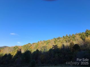 Tracts 2a & 2b Rabbit Skin Rd, Waynesville, NC 28785