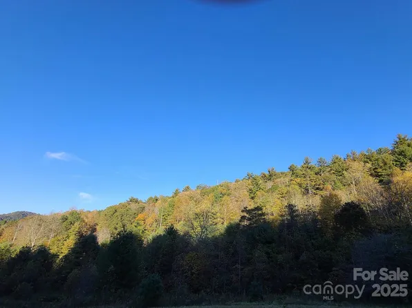 Tracts 2a & 2b Rabbit Skin Rd, Waynesville, NC 28785