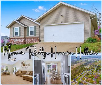 115 Rock Hollow Court Court, Hollister, MO, 65672