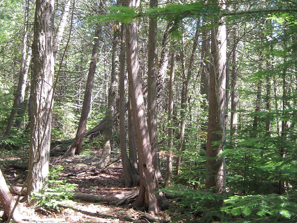 2nd image of Densmore Dr