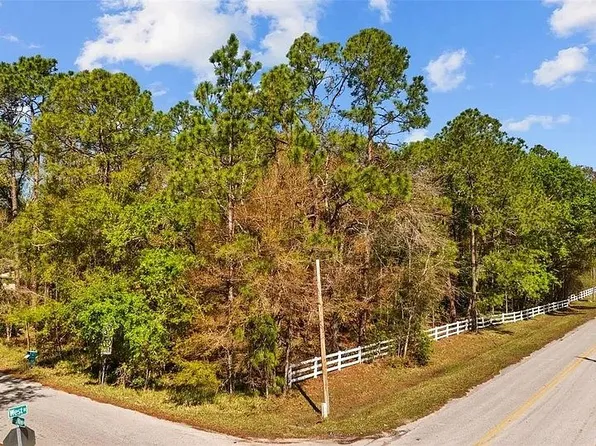 27951 Green Willow Run, Wesley Chapel, FL 33544