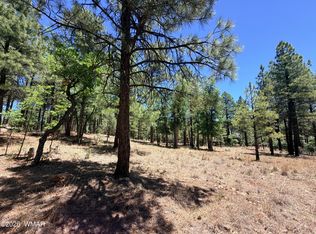 4215 Apache Dr, Happy Jack, AZ 86024
