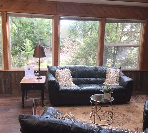 Living room windows