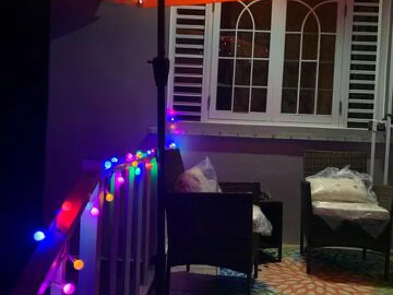 713 Carr Barrio Cimarrona — Photo 14